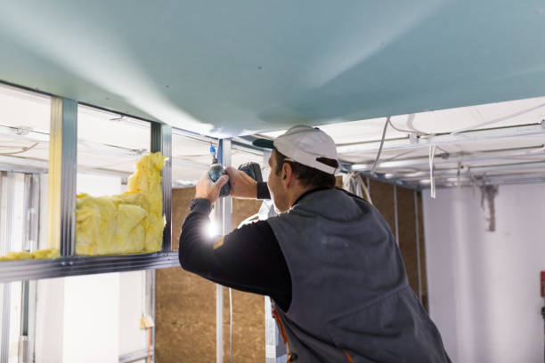 Types of Insulation We Offer in American Fork, UT